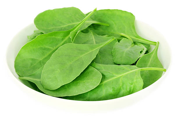 Palak