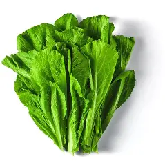 Saag