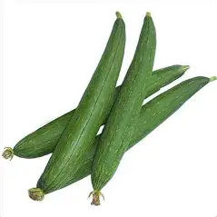 Grown Ridge Gourd
