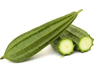 Ridge Gourd