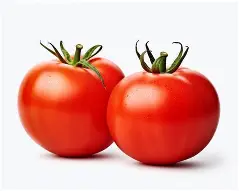 Fresh Red Tomato