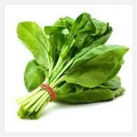 Palak