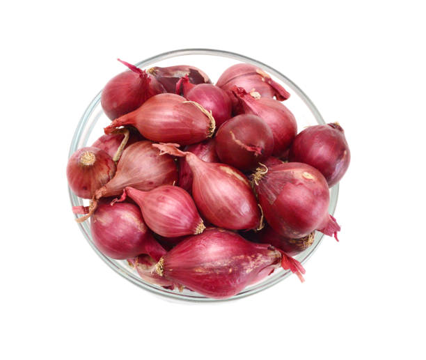 Organically Grown Sambar Onion