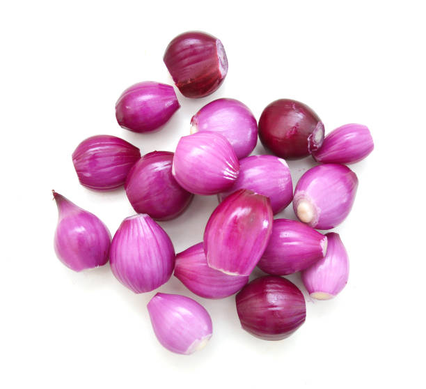Sambar Onion