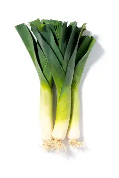 Leek
