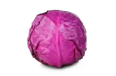 Red Cabbage