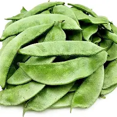 Hyacinth Beans
