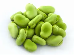 Broad Beans