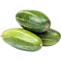 Pointed Gourd