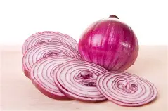 Onion