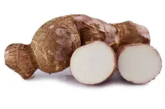 Tapioca