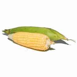 American Corn
