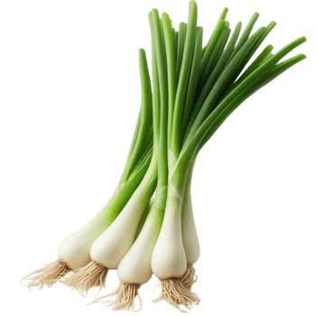 Green Garlic