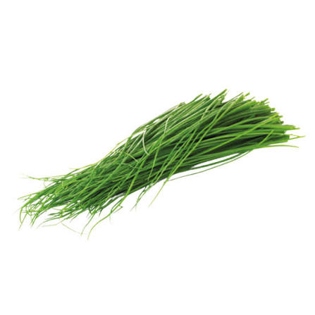 Garlic Chives