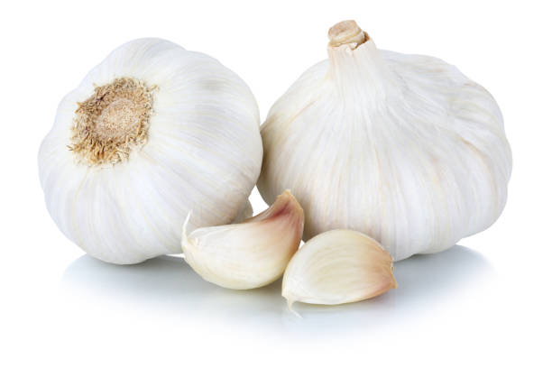 Garlic