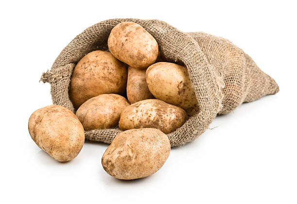Organically Grown Potato