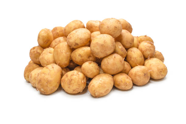 Baby Potato
