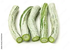 snake gourd grown