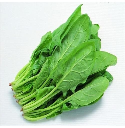 Palak grown