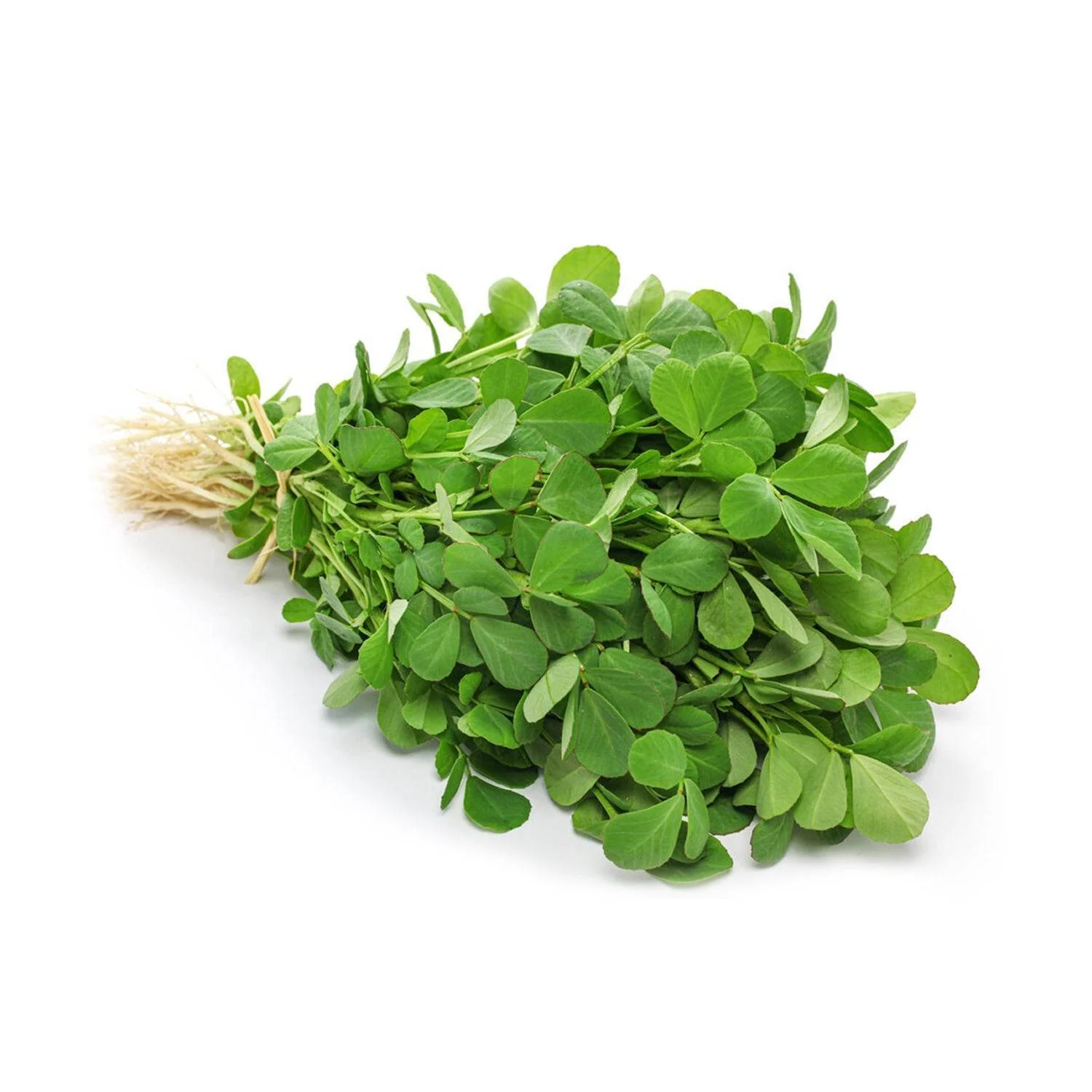 Methi Organic