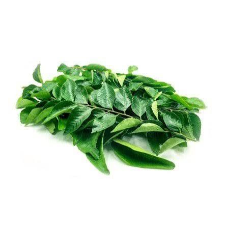 Fresh Curry Leaves