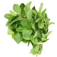 Premium Mint