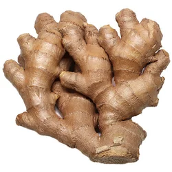 Satara Ginger