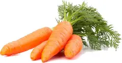 Organic Carrot