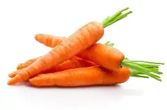 Fresh Carrot
