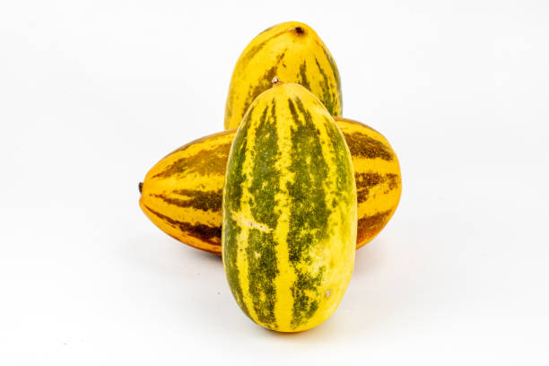 Madras Cucumber
