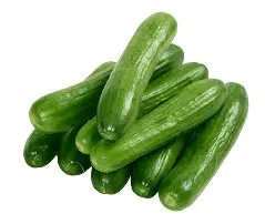 Organic Cucumber