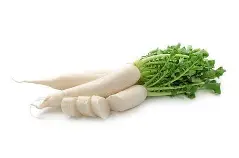 Premium Radish