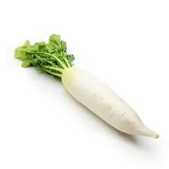 Farm Fresh Radish