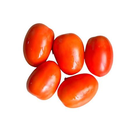 Tomato Hybrid