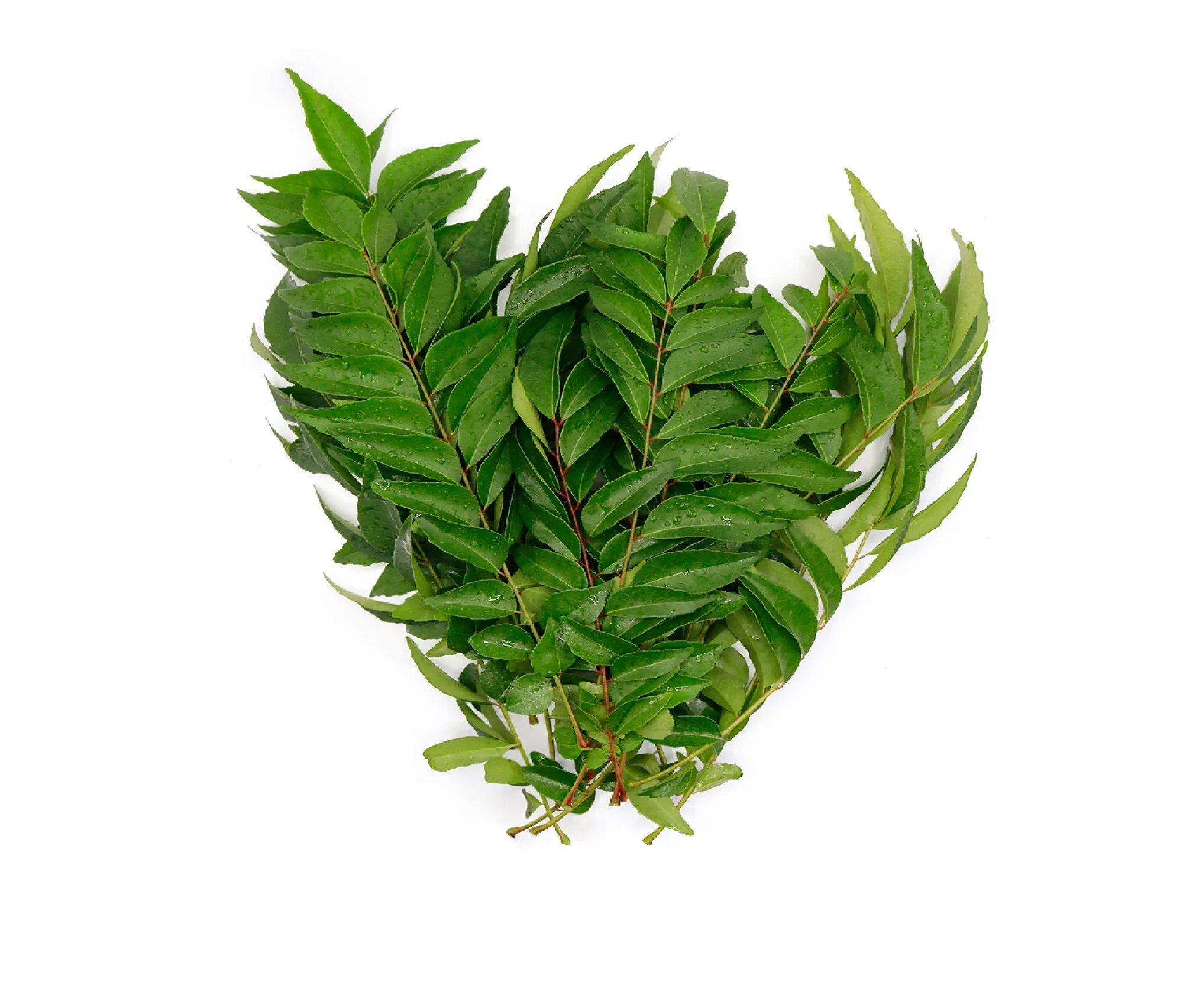 Dry Curry Leaves