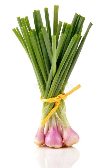Premium Spring Onion