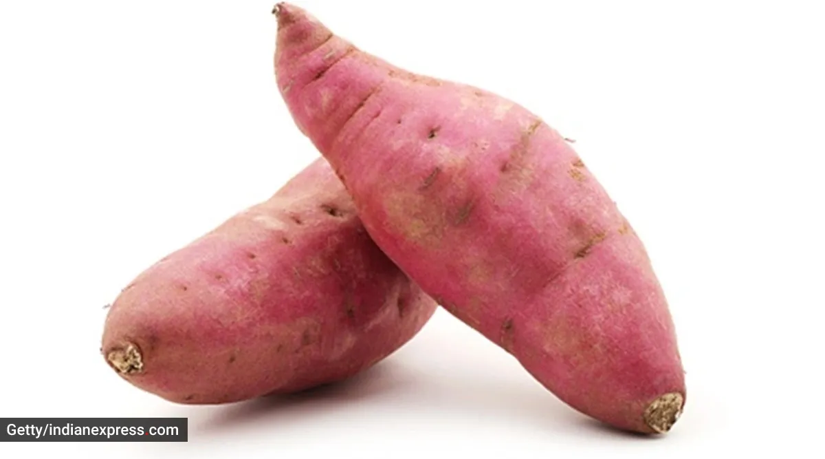 Sweet Potato