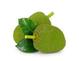 Premium Raw Jackfruit